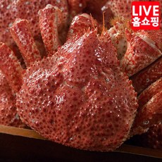 [TV홈쇼핑 정품]자연산 스노우 레드크랩 한농식 손질 세척 자숙크랩 남극해역 100%자연산 크랩 가정 캠핑 여행음식, 1박스, 1.2kg