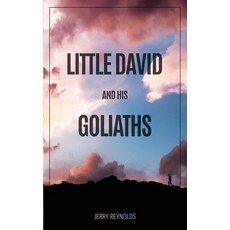(영문도서) Little David and Goliaths Paperback, Gotham Books, English, 9781956349627