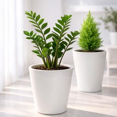 2017 대형 도자기 세라믹화분 대형 심플 거실 인테리어 플랜테리어 관엽식물, 1개, 화이트