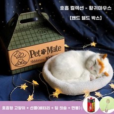 오아모먼트 팡쿠 숨쉬는고양이인형 귀여운 고양이 3종 장식 야옹이, 1개, A. 호흡 버전 노란귀고양이 + 골판지 상자 운반 복식