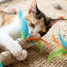 두두쇼핑몰샵 고양이 장난감 스크래처 아령 1P 흥미유발 물고뜯고 반려묘