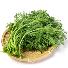 농협 쑥갓, 1박스, 1kg