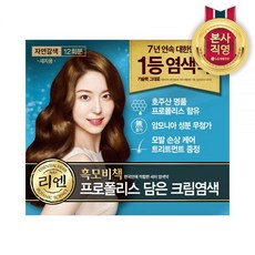 리엔 흑모비책 프로폴리스 염색약 흑갈색 12회분, 1개