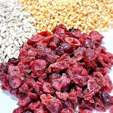 자품건어물 건크랜베리 100g 240g 새콤달콤 건과일 요거트 샐러드 토핑 홈베이킹 간식