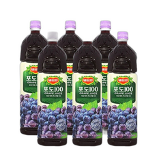 롯데칠성음료 델몬트 포도주스 페트 음료수, 1.5L, 1개