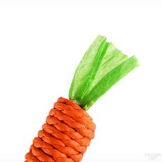 당근장난감 당근인형 강아지당근노즈워크 애견훈련용품