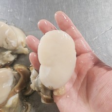 국내 자연산 손질 키조개 관자 500g 냉동 관자살 개아지살, 1개, 500g(5-10미)