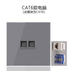 차콜 온도 네스트 스마트 조절기 구글호환, CAT6 듀얼 컴퓨터, 한 마리, 1개