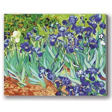 MANTO 台灣製造 大尺寸DIY數字油畫 40X50cm 釘好內框 初學者專用, 梵谷野生鳶尾花, 1套