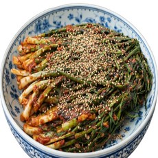 [순희네손맛김치] 파김치 국산 김치 쪽파 국산 재료 양념 우리 농산물 김치, 1개, 3kg