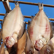 국산 구룡포 반건조 기름 가자미, 대(26-30cm), 10개