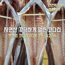 [산지직송] 국내산 자연산 고성 반건조 코다리 정품 10미 42~46cm . 10미 40~43cm 재철생선. 가정용. 선물용. 업소용, 1박스, 자연산 반건조 코다리 정품 10미 39~42cm