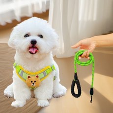 狗狗背心式胸背帶 反光安全牽引繩 中小型犬適用, 1個, 可愛熊（果綠揹帶+1.5米手拉繩）,陞級M號（7-14斤）