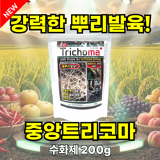 고추 뿌리활착 곰팡이 예방 발근제 트리코더마 하지아늄 중앙 트리코마 200g, 1개