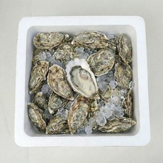 다용도 굴박스 아이스박스 냉동식품 택배 스티로폼박스 낱개, 1개, K1 굴박스(소형)