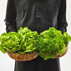 GAP 유러피안 샐러드 800g, 1개