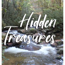(영문도서) Hidden Treasures: An Illustrated Guide to Finding Happiness & Healing in Nature Hardcover, Rainpublishing, English, 9781734610680