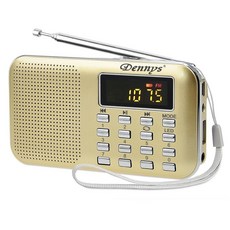 Dennys USB/MP3/AM/FM 超薄插卡收音機, MS-K218, 金色