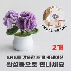 [상상한스푼 카네이션] 완성품 핸드메이드 손뜨개 뜨개질 카네이션, 퍼플, 2개