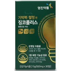 영진약품 기억력혈행엔 징코플러스 500mg, 2세트, 30회분