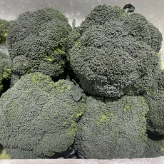 수입브로콜리 선별포장 식자재 채소, 1박스, 1kg