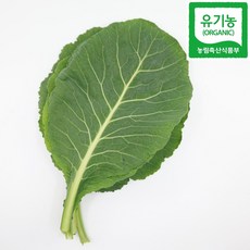 친환경 국산 유기농 쌈케일, 1개, 300g