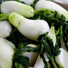 금메달농수산 국내산 황토 세척 절임 알타리, 1개, 5kg (정품)