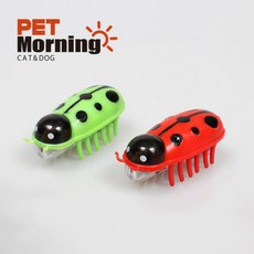 펫모닝 로봇버그 무당벌레 양이장난감, 1개