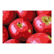플레이어바웃 DIY 명화그리기 세트 유화 10 x 15 cm, 풍요로운 홍사과 (AX244), 1개