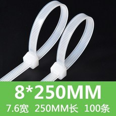 CHBASL 尼龍紮帶 10*600mm, 白, 8*250mm, 1個