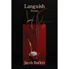 (영문도서)Languish Paperback, Kelsay Books, English, 9798901469187