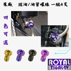 【瘋螺絲】KRV 專區 原廠油管/迴油螺絲組 64正鈦/鈦合金螺絲 出貨附發票 四色可選, 1個, 土豪金