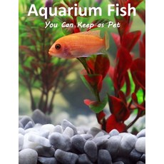 (영문도서) Aquarium Fish You Can Keep As Pets: A List Of Crazy Exotic Fish To Keep As Pets Paperback, Independently Published, English, 9798419850231