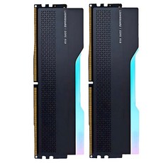 글로웨이 DDR5 용무 시리즈 하이닉스 A다이 RGB 데스크톱 메모리 블랙 8000MHz C36 16GB 2개입, 1세트, GW8000N16G-RA 1세트, GW8000N16G-RA