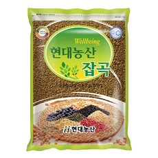 현대농산 국산 차조 2kg, 1개