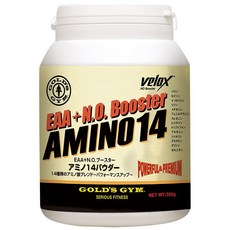 골드 짐(GOLD'S GYM) GGP G4500 아미노 14 파우더 300 G, 300g, 1개