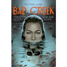 (영문도서)Bad Creek Paperback, Norton Young Readers, English, 9781324125525