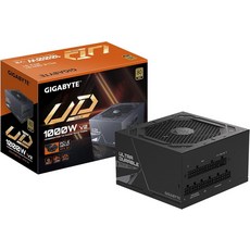 기가바이트 UD750GM PG5 V2 ICE - 750W 80 플러스 플래티넘 인증 PCIe5.1 준비 완료 ATX3.1 완전 모듈식 전원 공급 장치GP-UD750GM, Black, 1000 Watts, UD (2025) ATX 3.1,