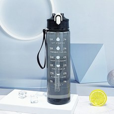 太空杯夏季水杯女生吸管杯戶外運動水壺便攜塑料杯一鍵彈蓋, 1個, 1L, 透明黑色750ml:裸杯(含吸管)