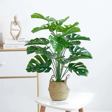 南洋龜背竹仿真植栽, 室內綠植首選南洋龜背竹仿真植栽, 1個