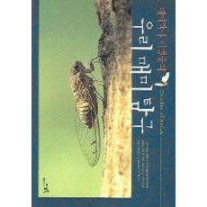 매미박사 이영준의우리 매미 탐구, 지오북, 이영준 저