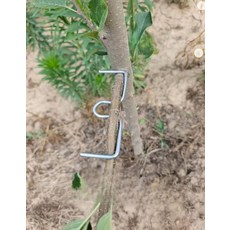 제이블룸픽 고추대클립 철사 과일나무 줄기, 1개, M형 10cm 100개