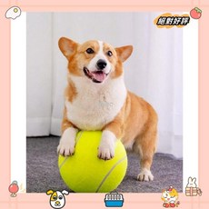 互動玩具 大型網球 漂浮彈跳狗玩具laiwc, 綠色,均碼, 1個