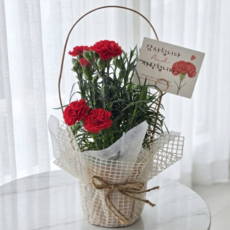 어버이날 카네이션 생화 바구니 오래꽃보시기좋아요 감사의마음을전하는 프리미엄패키지, 1개, 빨강카네이션바구니포함