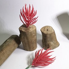 仿真植物 紅色, P16仿真多肉+木頭底座(隨機), 1套