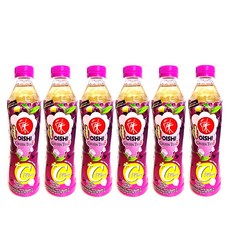 태국 음료 오이시 그린티 포도 380ml/6개 코코넛워터, 380ml