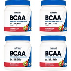 뉴트리코스트 고흡수 BCAA 파우더 딸기키위, 4개