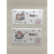 A6 현금챌린지 허세냥이 예산속지 현금바인더 보드