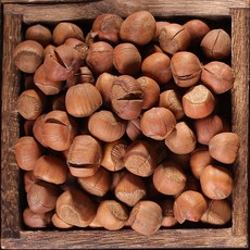 헤이즐넛 특산물 신선한 깨금 볶음 헤이즐넛 견과류 간식 중국산, 특A급 튀김 1근, 1개, 500g