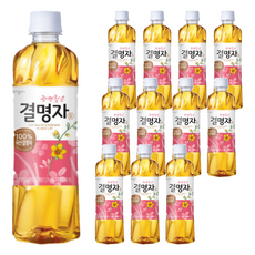 웅진 광명찾은 결명자차, 500ml, 36개